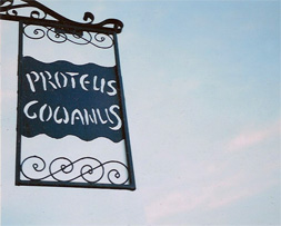 proteusSign2